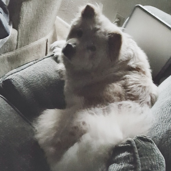 Meet your Posher, Michelle - Picture 5 of 8